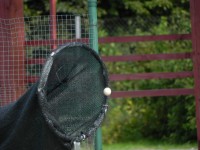 /album/galeria/dscn2644-kopiowanie-jpg/